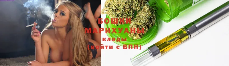 купить   Сафоново  Шишки марихуана VHQ 